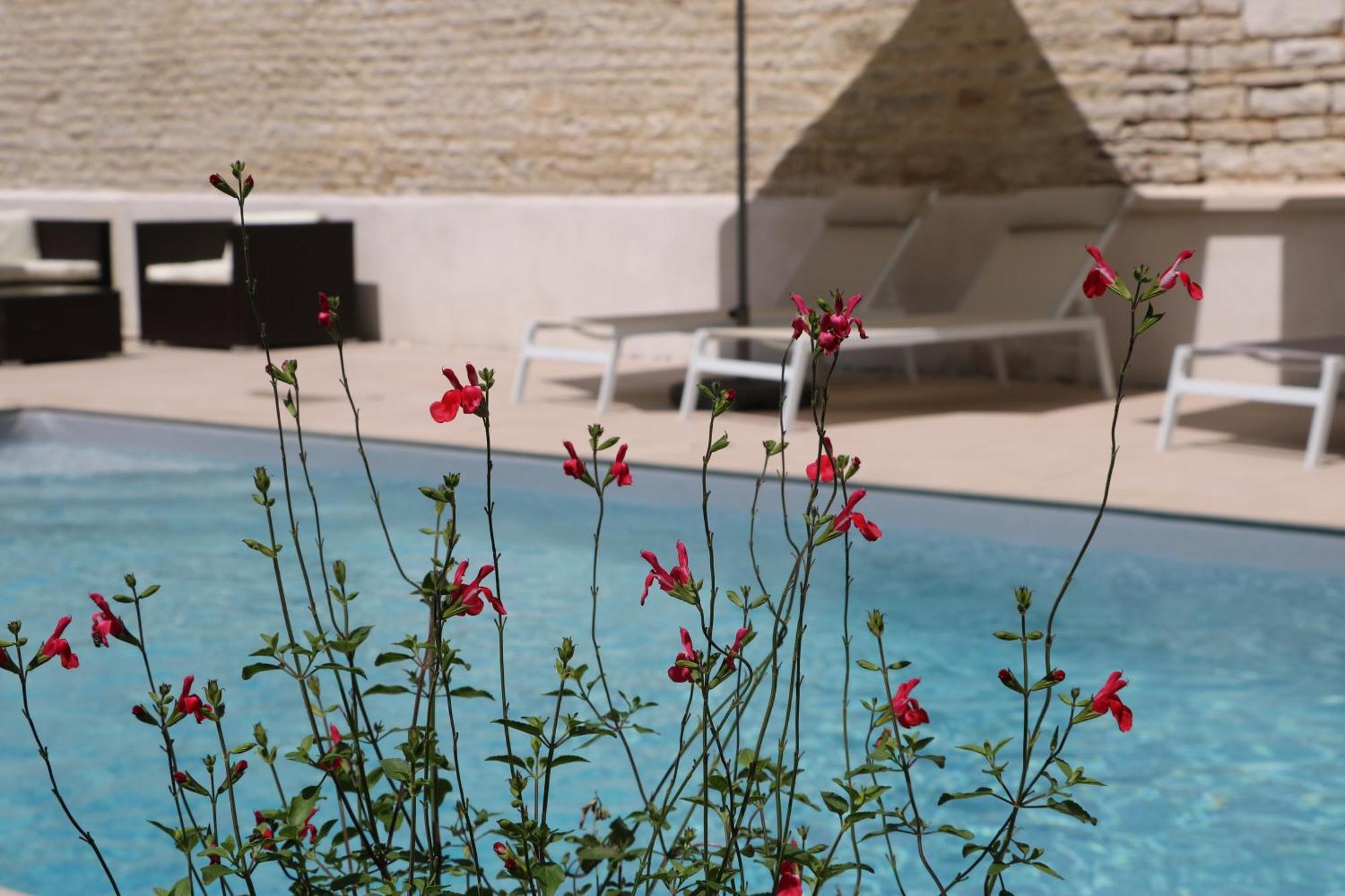 La Villa Lombardi En Champagne, Avec Piscine Privee Et Jacuzzi Les Riceys Buitenkant foto